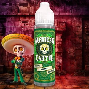 Mexican cartel 2