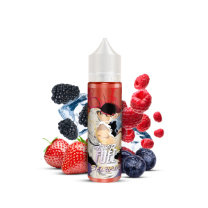Fighter Fuel Seiryuto