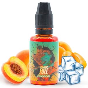 Fighter Fuel